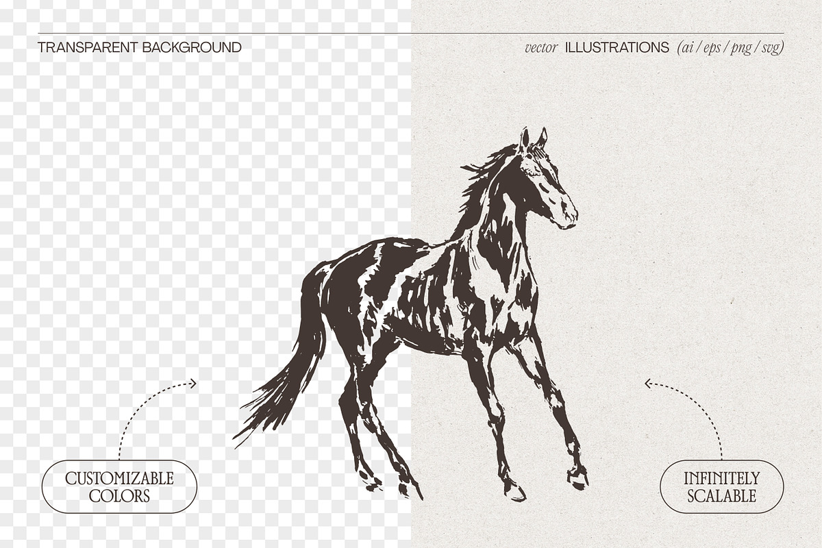 Galloping Horse Spirit Sketches, an Animal Illustration by TheMountBirdStudio (Photo 2 of 6)
