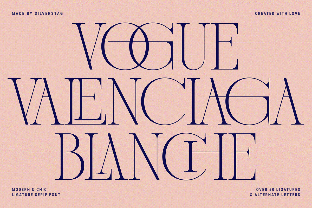 French Voyager - Chic Ligature Serif, a Serif Font by SilverStag Type Foundry (Photo 9 of 23)