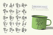 Wild meadow flowers $ herbs, an Object Graphic by yttadesign (Thumbnail 4 of 17)