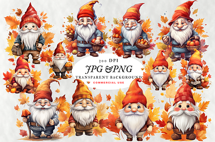 Cute Gnome Collection