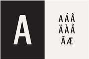 Winston & Winston Sans - 2 Fonts, a Sans Serif Font by Bebop Font Foundry (Thumbnail 5 of 5)