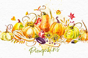 Pumpkins watercolor collection, a Food Illustration by Ann Astro (Thumbnail 2 of 17)