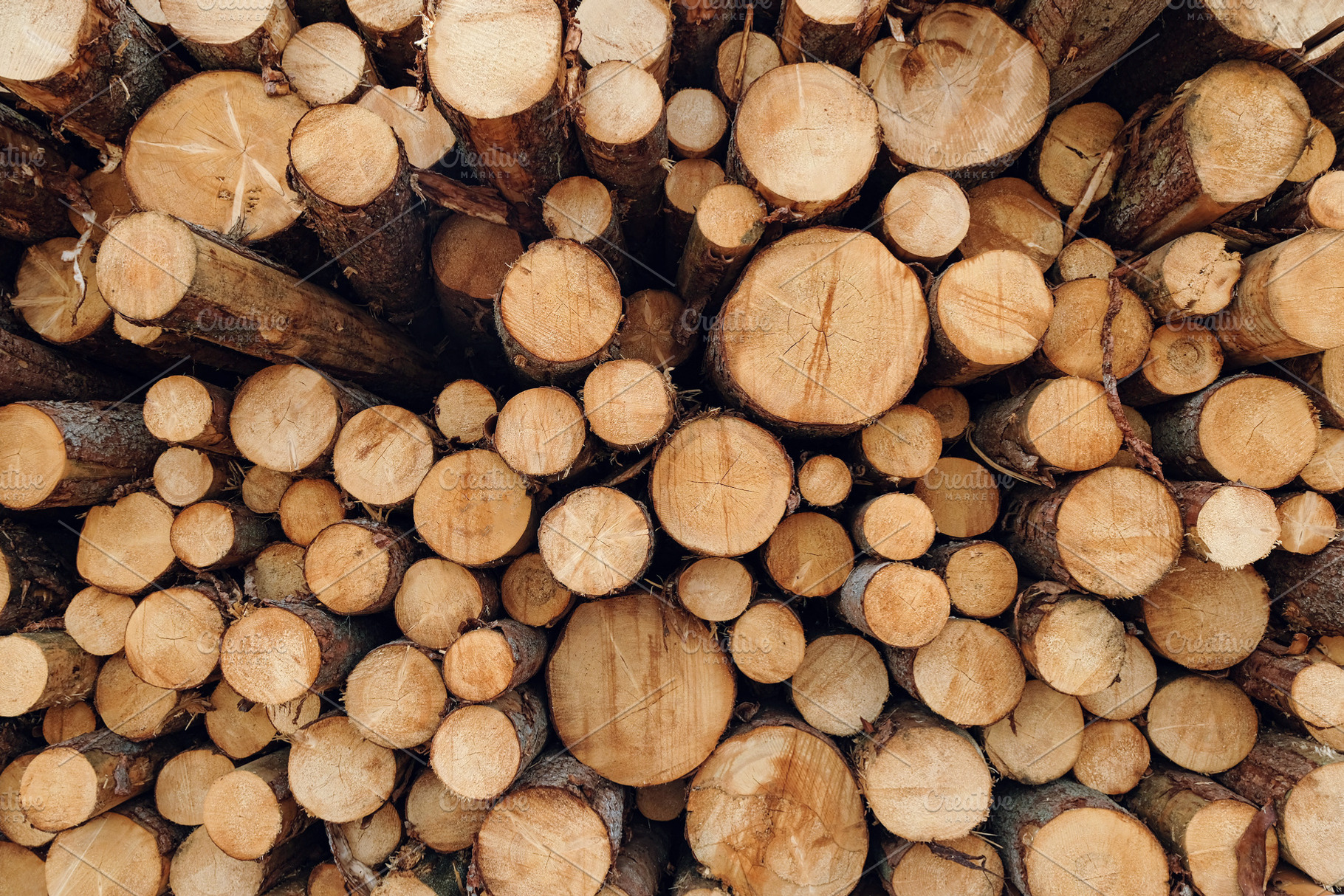 wooden logs stack background, an Abstract Photo by AlexZaitsev