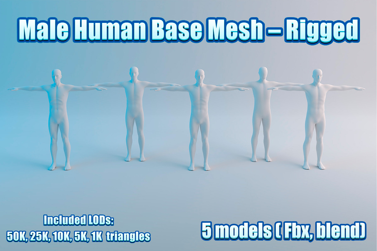 Male Human Base Mesh – Rigged, a Characters & Person 3D Model by Casa Mandarina (Photo 1 of 8)