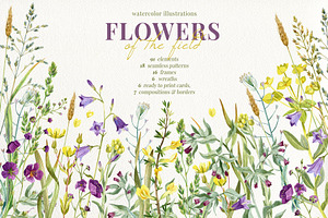 Flowers of the fields