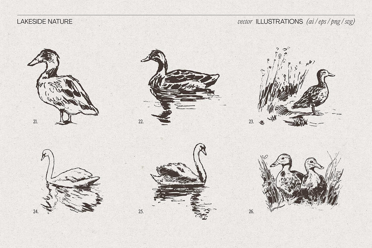 Lakeside Nature Illustrations, an Empty State Illustration by TheMountBirdStudio (Photo 15 of 17)