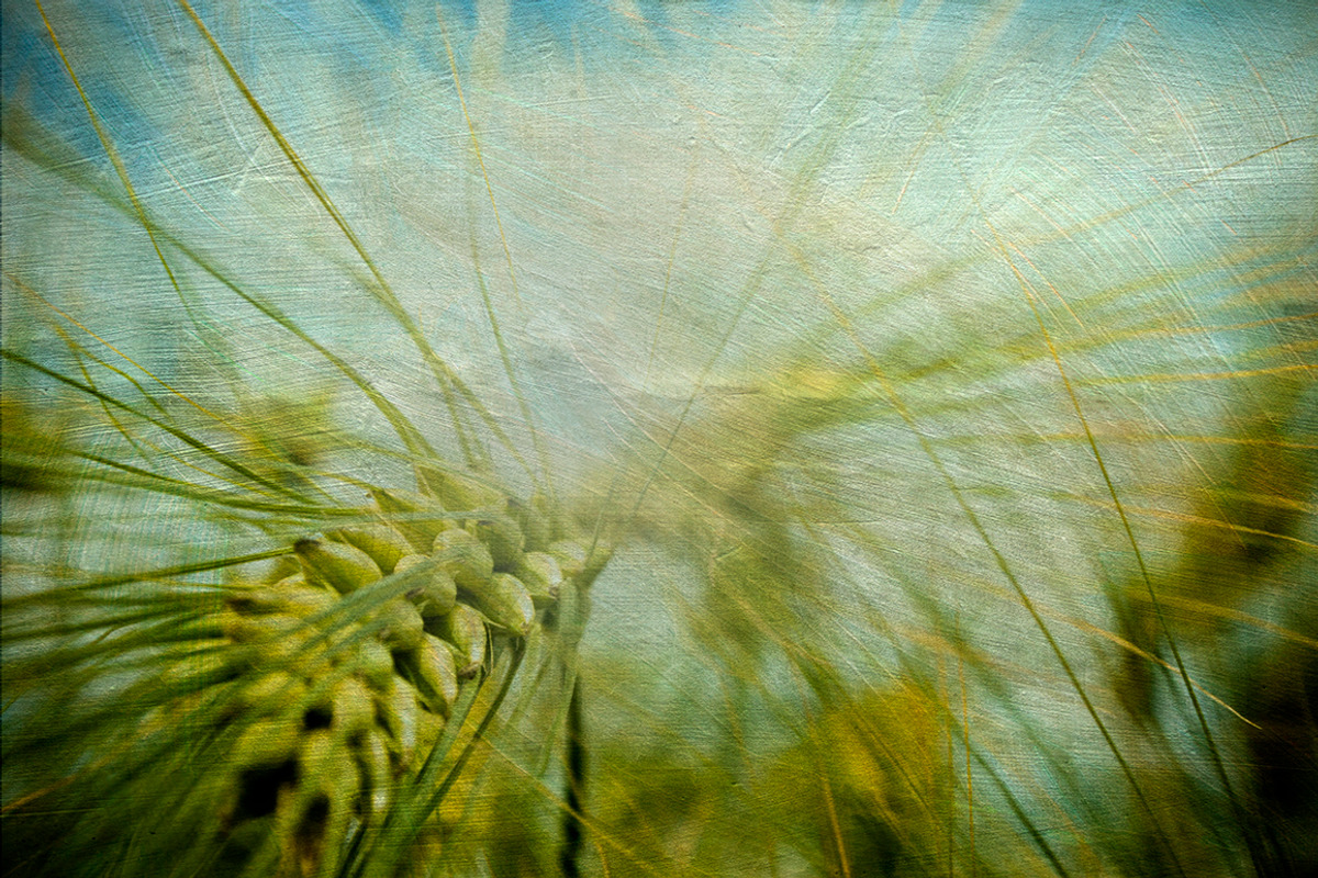 Painterly Textures 1 preview 3