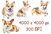 Corgi Watercolor Clipart Bundle, an Animal Illustration by Pet Cave (Thumbnail 3 of 3)