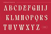 Kiban - Branding Logo Font, a Serif Font by Nirmana Visual (Thumbnail 2 of 10)