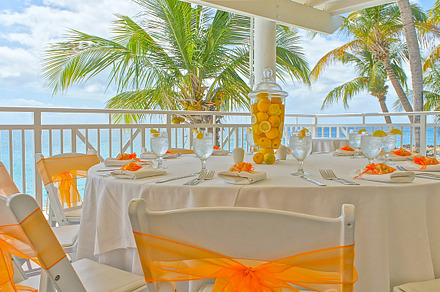 Citrus brunch 2 featuring patio, wedding, and terrace preview 6