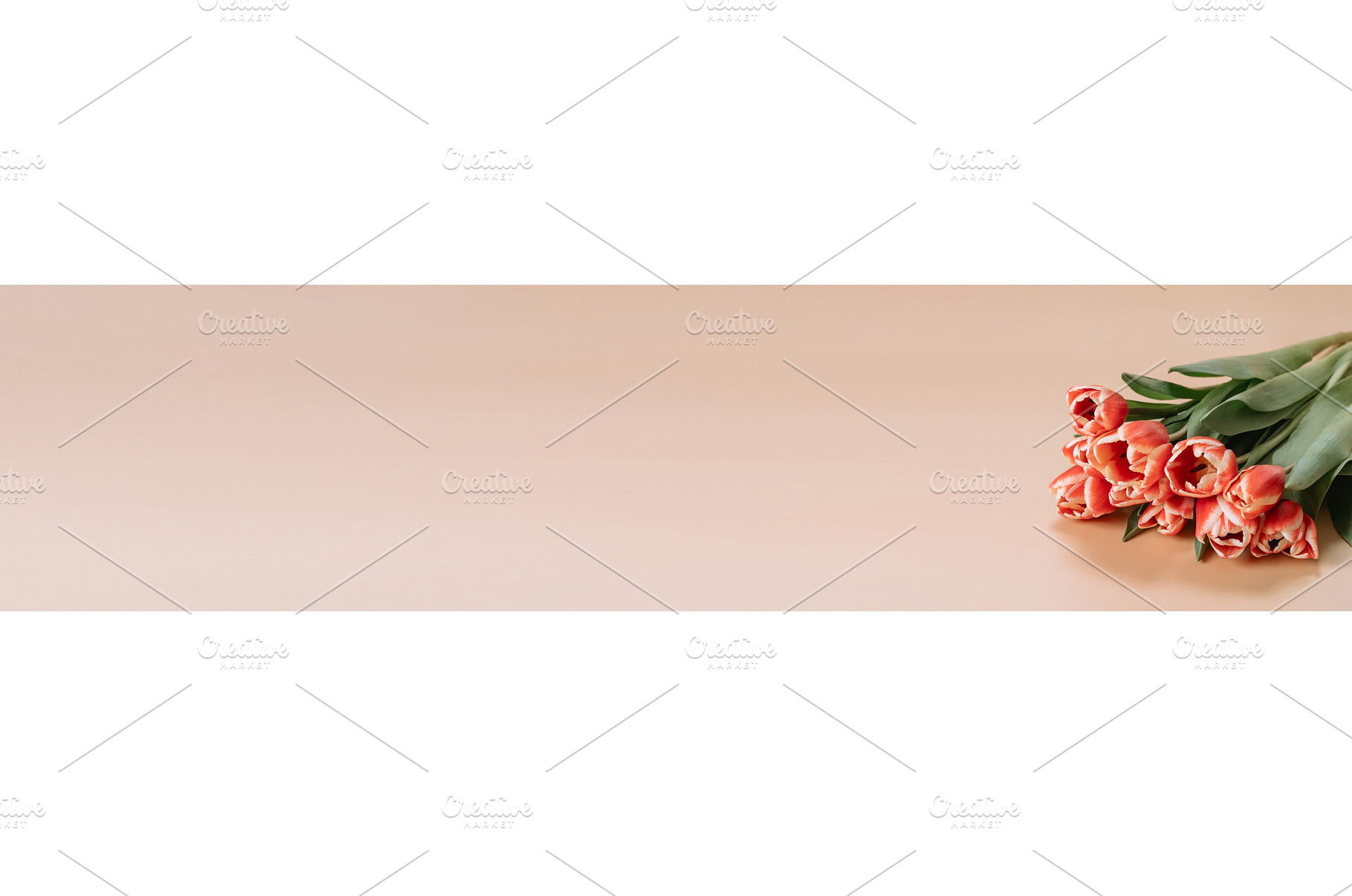 Bunch of red tulip long banner beige, a Holiday Photo by Fascinadora