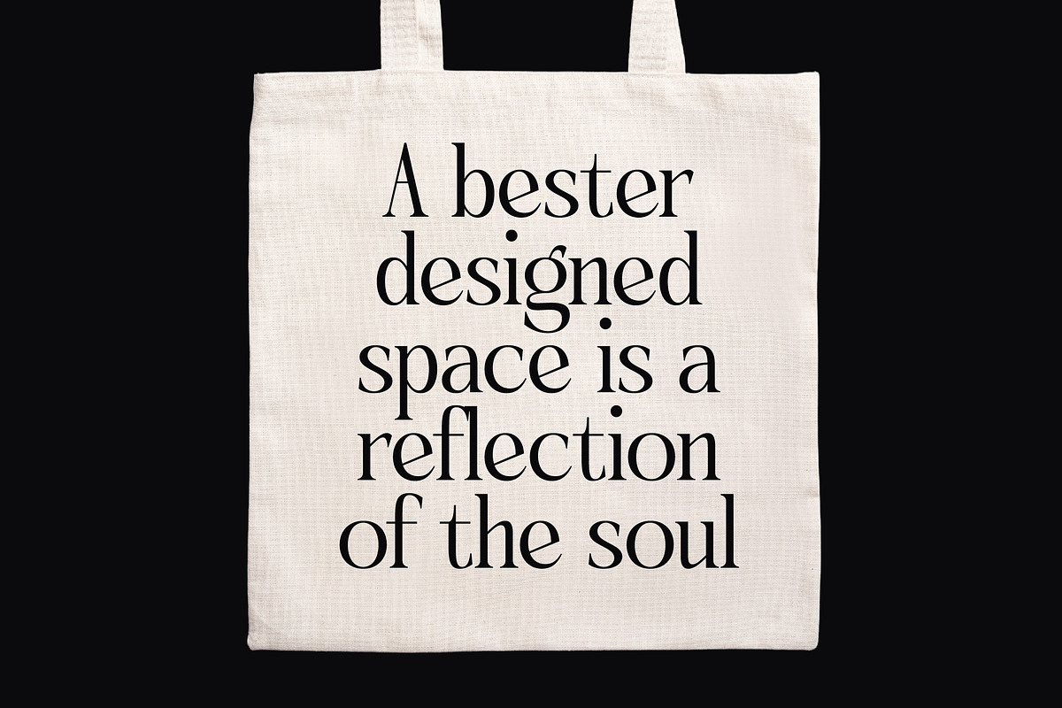 Qinfolk - Elegant Serif Font, a Serif Font by timelesstype.co (Photo 12 of 20)