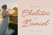 Methamory | Monoline Script Font, a Script Font by Denustudios (Thumbnail 5 of 15)