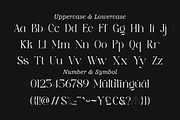 Bloom Haven - Beauty Branding Font, a Serif Font by Sohel Studio (Thumbnail 9 of 11)