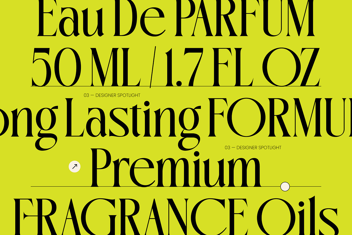 Oligierky Modern Editorial Serif, a Serif Font by timelesstype.co (Photo 8 of 10)