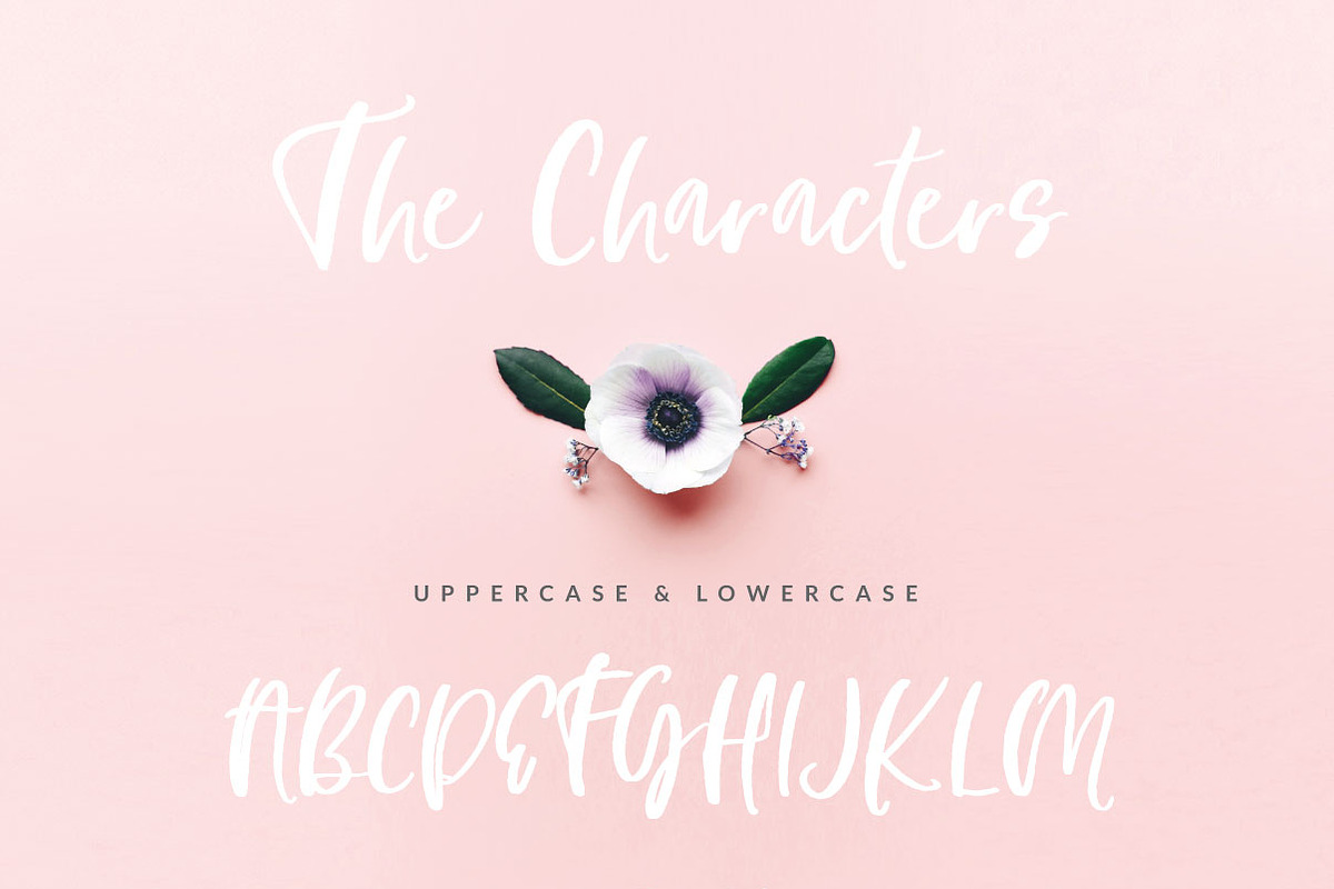 Fonts bundle - 12 fonts, a Handwritten Font by Creator Goodies (Photo 24 of 37)