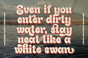 Gladolia - Chunky Groovy Font, a Serif Font by Dharmas Foundry (Thumbnail 12 of 16)