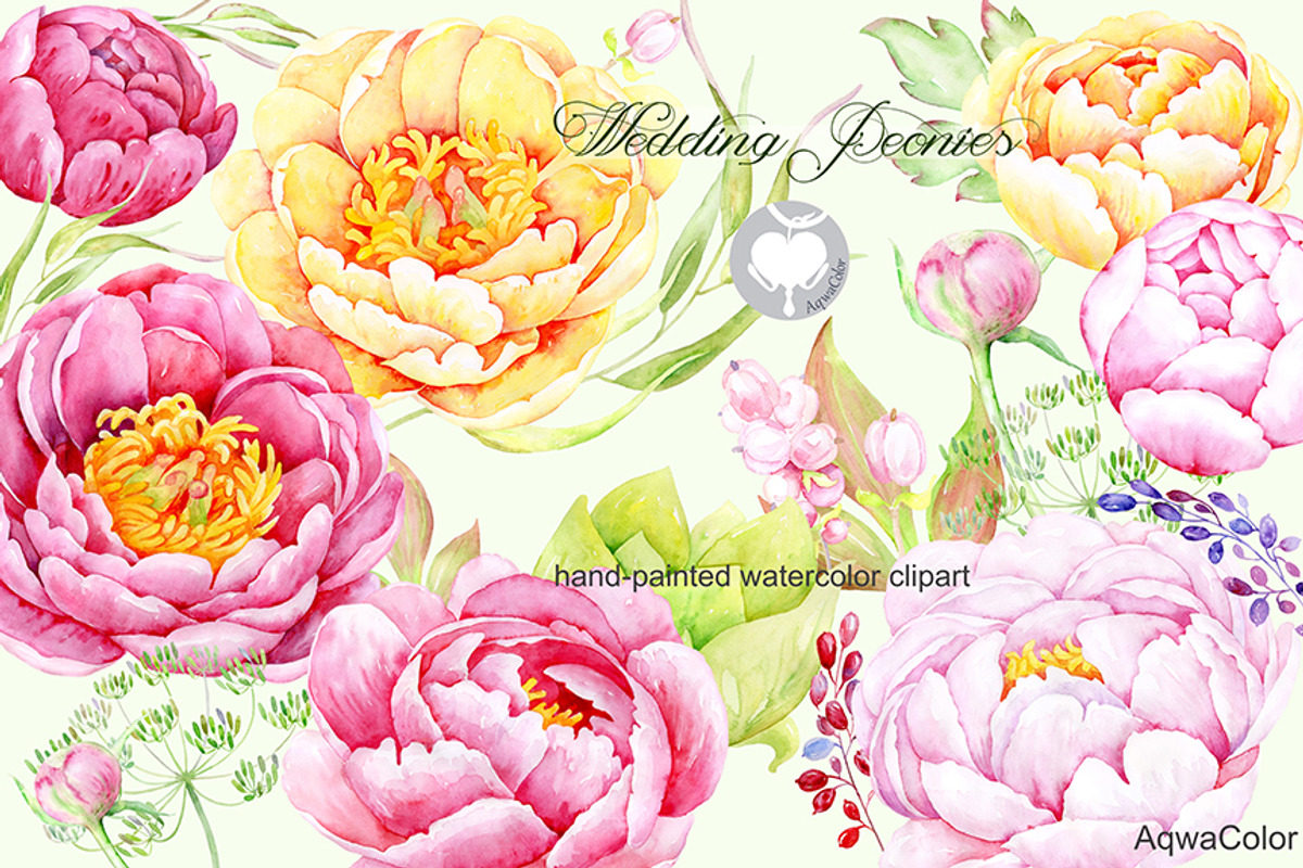 Watercolor clipart Wedding peonies, an Illustration by AqwaColor (Photo 1 of 4)