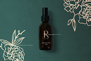 Apothecary Display Font, a Font by Create The Cut (Thumbnail 11 of 13)