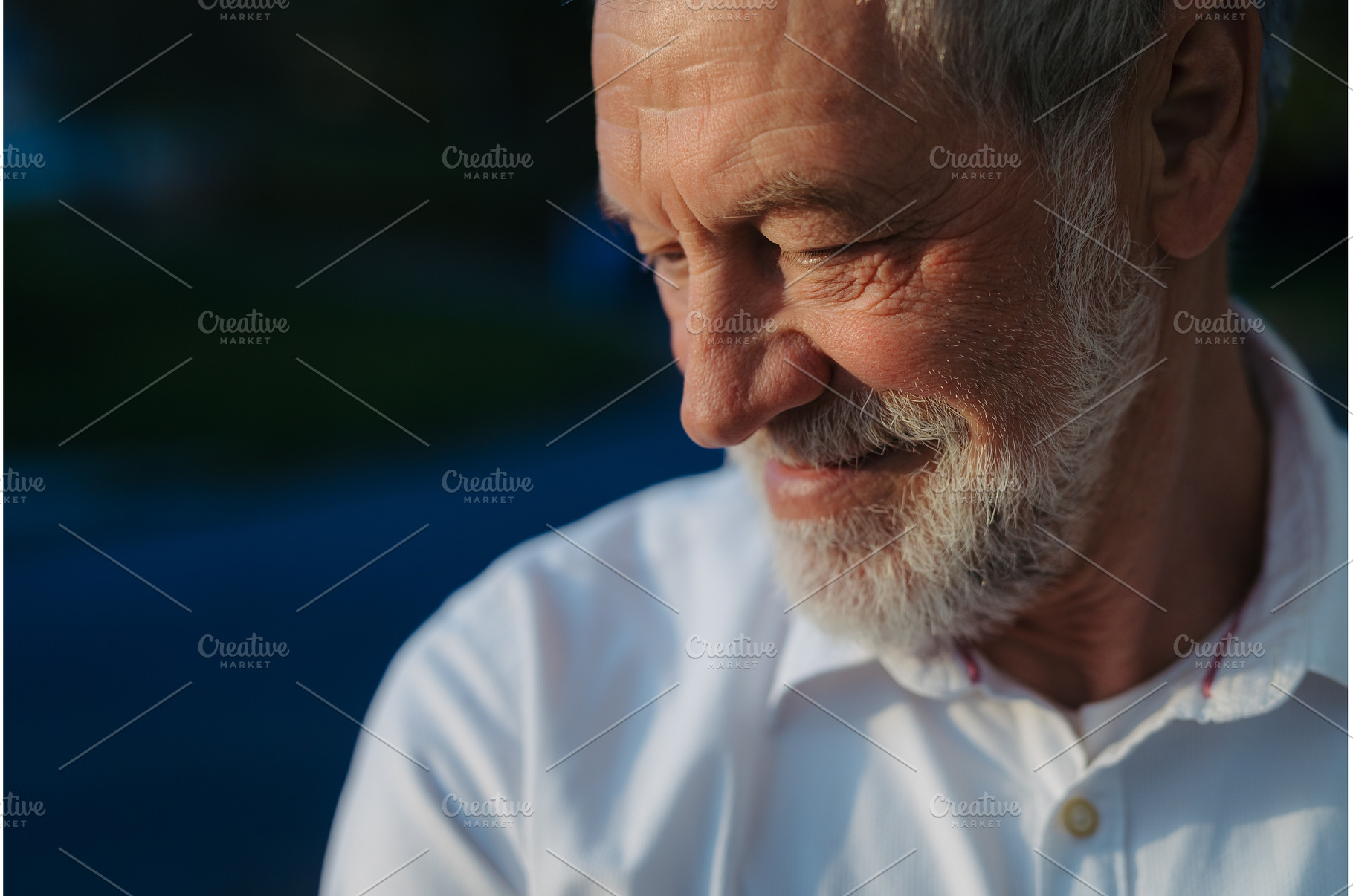 Portrait of handsome old man., a Person Photo by HalfPoint