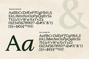 Metaspire - Modern Display Serif, a Serif Font by Bale Type (Thumbnail 9 of 9)