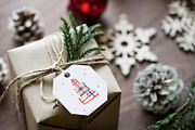 Christmas postcards, map creator, an Animal Illustration by Mariia Kovalchuk (Thumbnail 10 of 10)