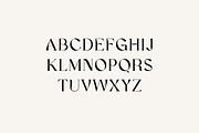 Dominance Elegant Serif Display Font, a Serif Font by UICreative (Thumbnail 2 of 13)
