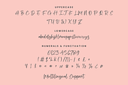 Fellicia Grace, a Handwritten Font by CreateBigSupply (Thumbnail 6 of 9)
