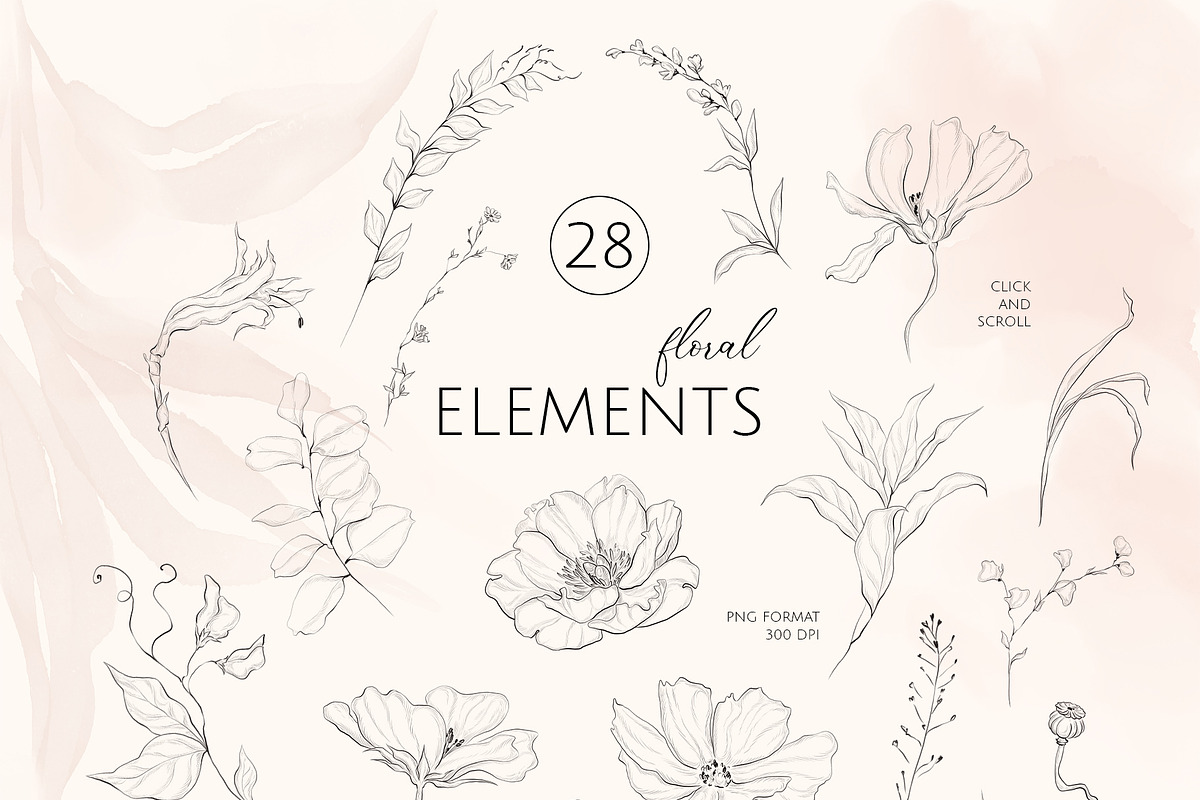 FINE GARDEN line art floral set, a Decorative Illustration by Yuliia Lashevska (Photo 11 of 12)