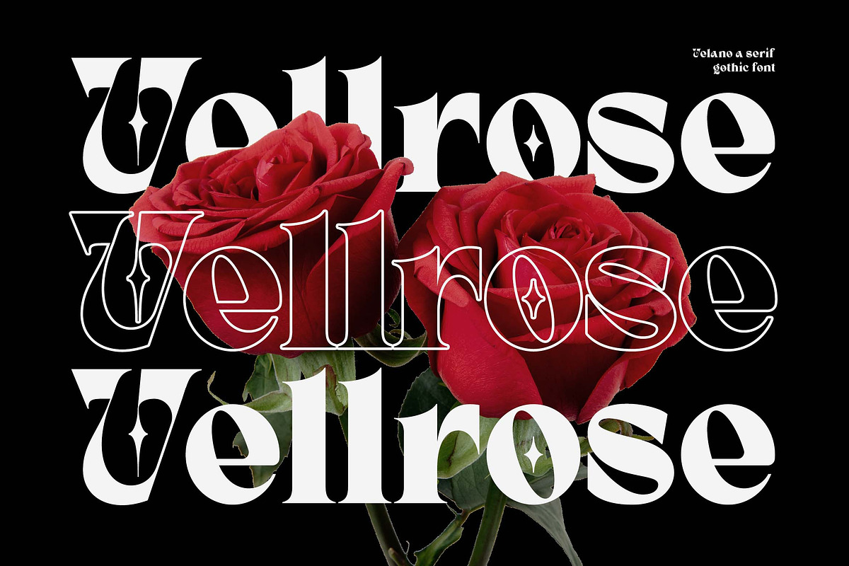 Velano a Serif Gothic Font, a Serif Font by Honestype (Photo 6 of 12)