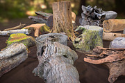 Forest Elements, an Environmental 3D Model by Beatheart Creative Studio (Thumbnail 5 of 25)