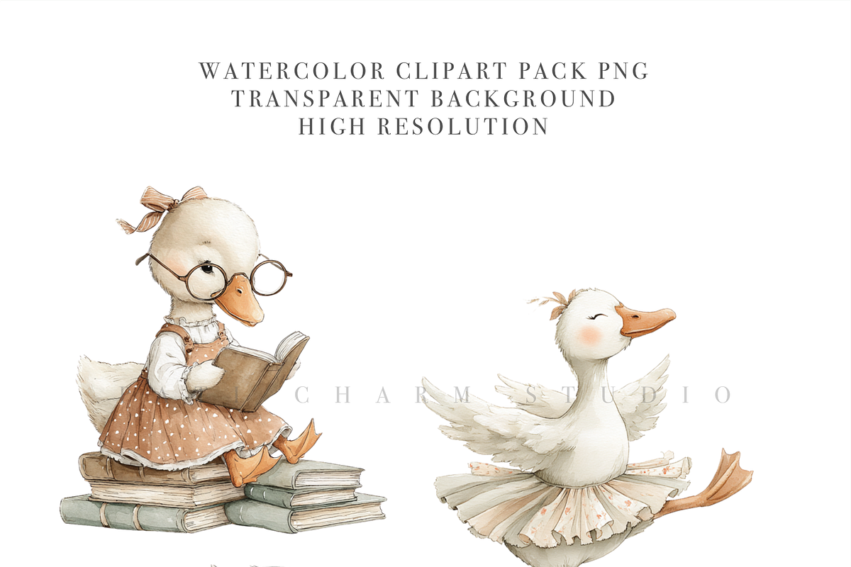 50 Silly Goose Clipart Set, an Animal Illustration by Pati Charm Studio (Photo 5 of 9)