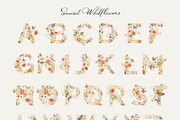 Sunset Wildflowers Delicate Flora, a Decorative Illustration by SunnyAfternoons (Thumbnail 13 of 15)