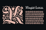 Kingfall typeface, a Handwritten Font by Michael Rafailyk (Thumbnail 5 of 13)