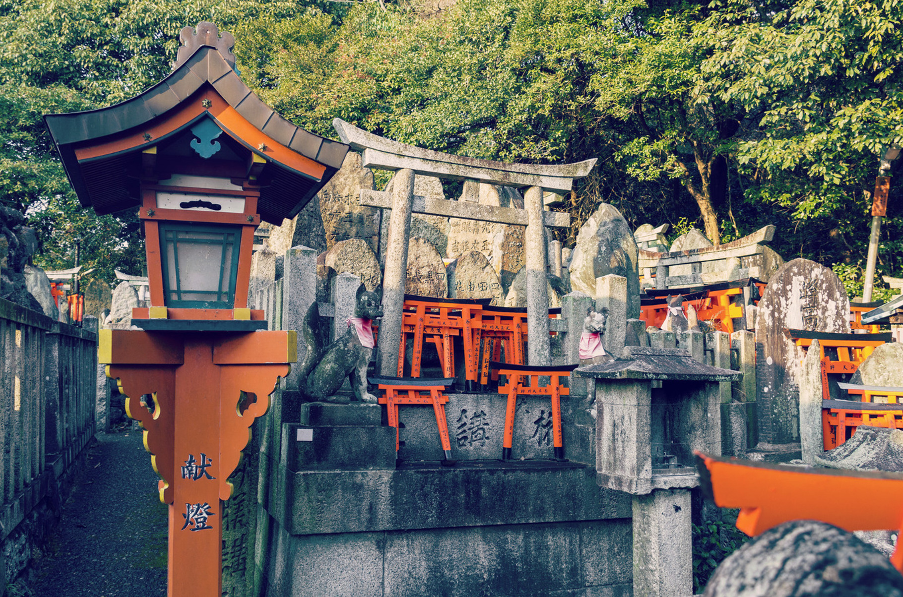 Famous Fushimi Inari Shrine, a Nature Photo by BOOCYS