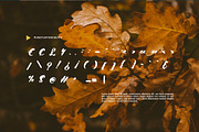Etthany - Retro Script Font, a Script Font by Dhabee (Thumbnail 4 of 15)
