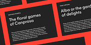 Majorant, a Sans Serif Font by Emtype Foundry (Thumbnail 6 of 14)