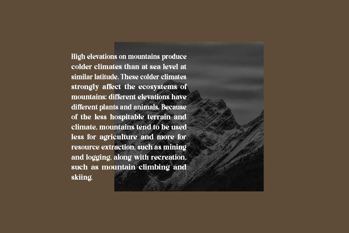 Retrospection Retro Serif Font, a Serif Font by UICreative (Photo 5 of 13)