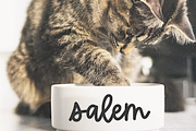 Brightland | Handwritten Script Font, a Script Font by KA Designs (Thumbnail 7 of 9)
