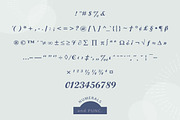 Arustin - Bold Script, a Script Font by Lemon Studio Type (Thumbnail 7 of 8)