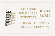 Pride – A Groovy Handrawn Retro Seri, a Serif Font by Pen Culture (Thumbnail 7 of 9)