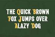 Quick Tail Display - Bold Retro, a Serif Font by Muflieart (Thumbnail 5 of 8)