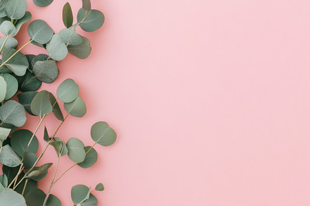 Eucalyptus leaves on pink background, a Photo by Beautiful things