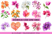 Bougainvillea Flower, an Illustration by cherrydesign (Thumbnail 1 of 3)