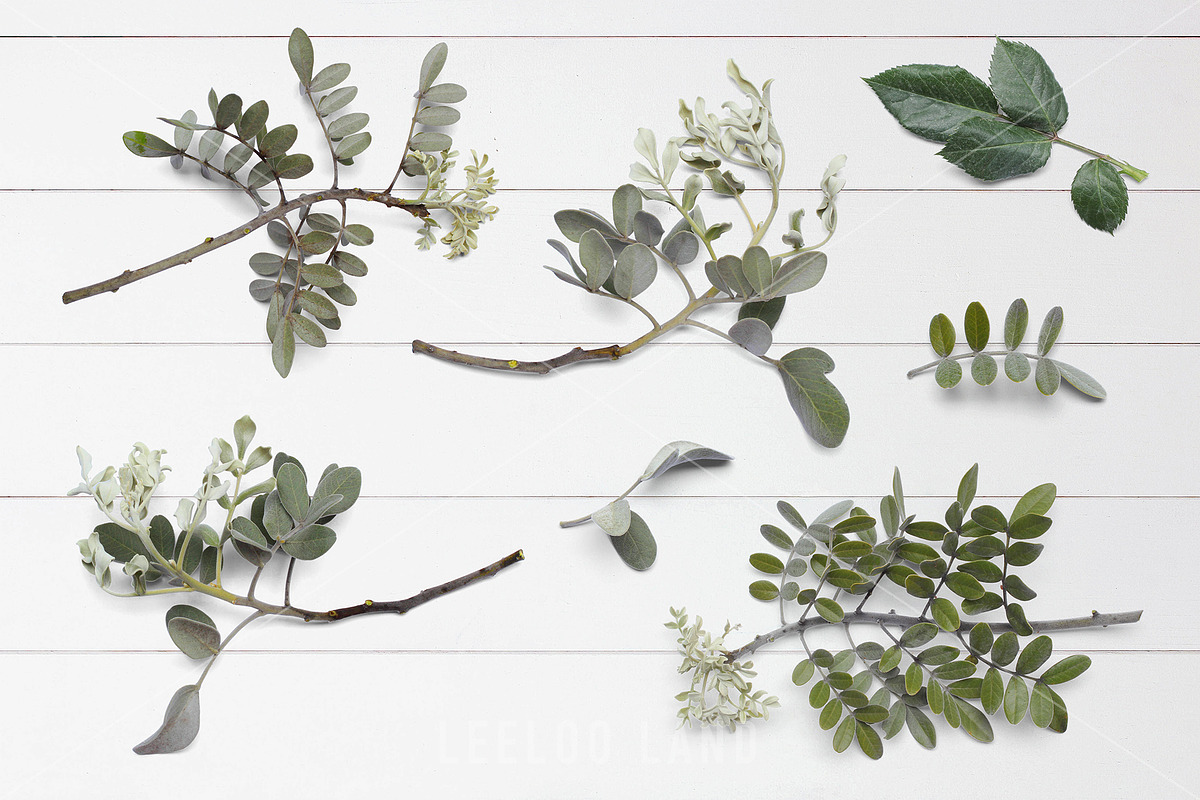 Floral Flatlay Scene Creator Rosette, a Product Mockup by ILLONA GRAPHICS (Photo 2 of 5)