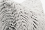 Collection of 38 fur pillows, an Object 3D Model by 3dmitruk (Thumbnail 93 of 112)