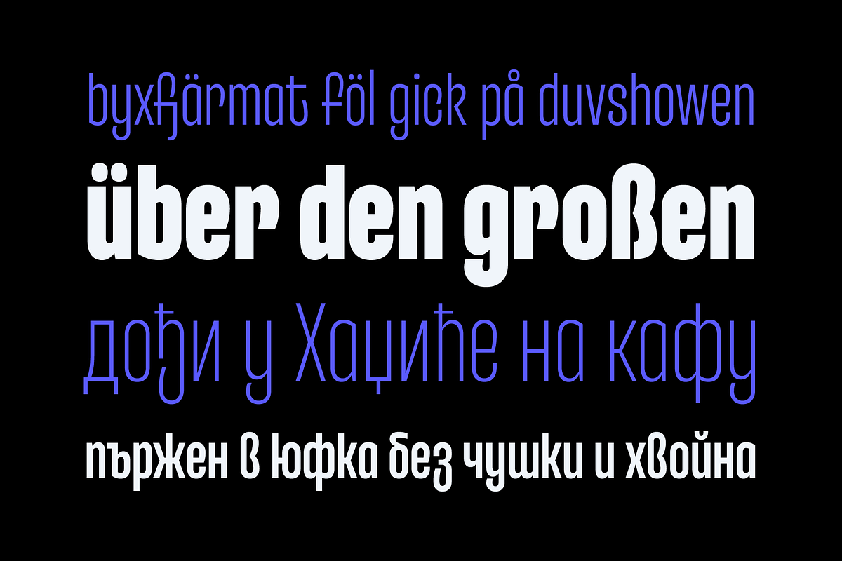 Entrofly — condensed font family, a Sans Serif Font by Slava Antipov (Photo 5 of 14)