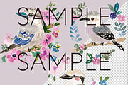 Whimsical Australian Birds Clipart, an Animal Illustration by Pawcasso's Portraits (Thumbnail 5 of 7)