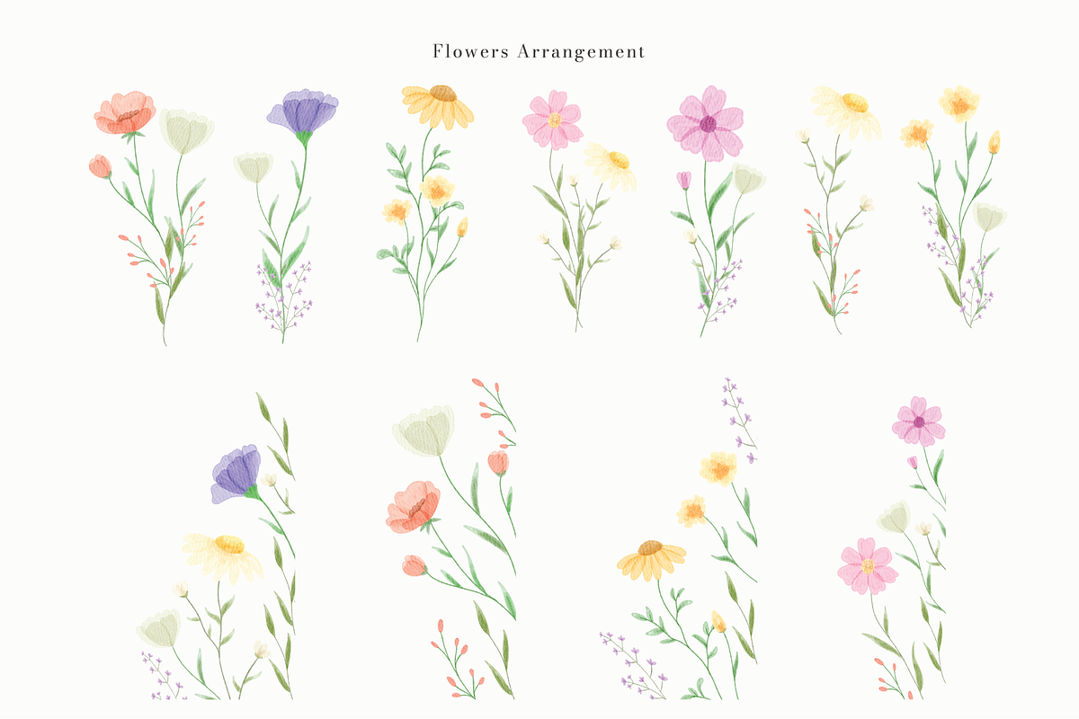Watercolor Flowers Collection, a Decorative Illustration by An Design (Photo 5 of 5)