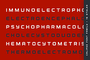 Calipso Font Family - 16 Fonts, a Sans Serif Font by alpercakici (Thumbnail 9 of 15)